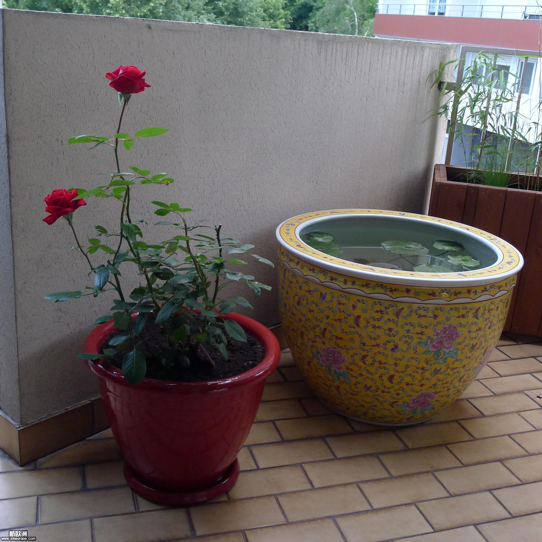 P1000075.JPG