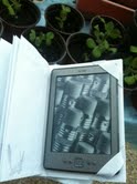 kindle4 (4).jpg