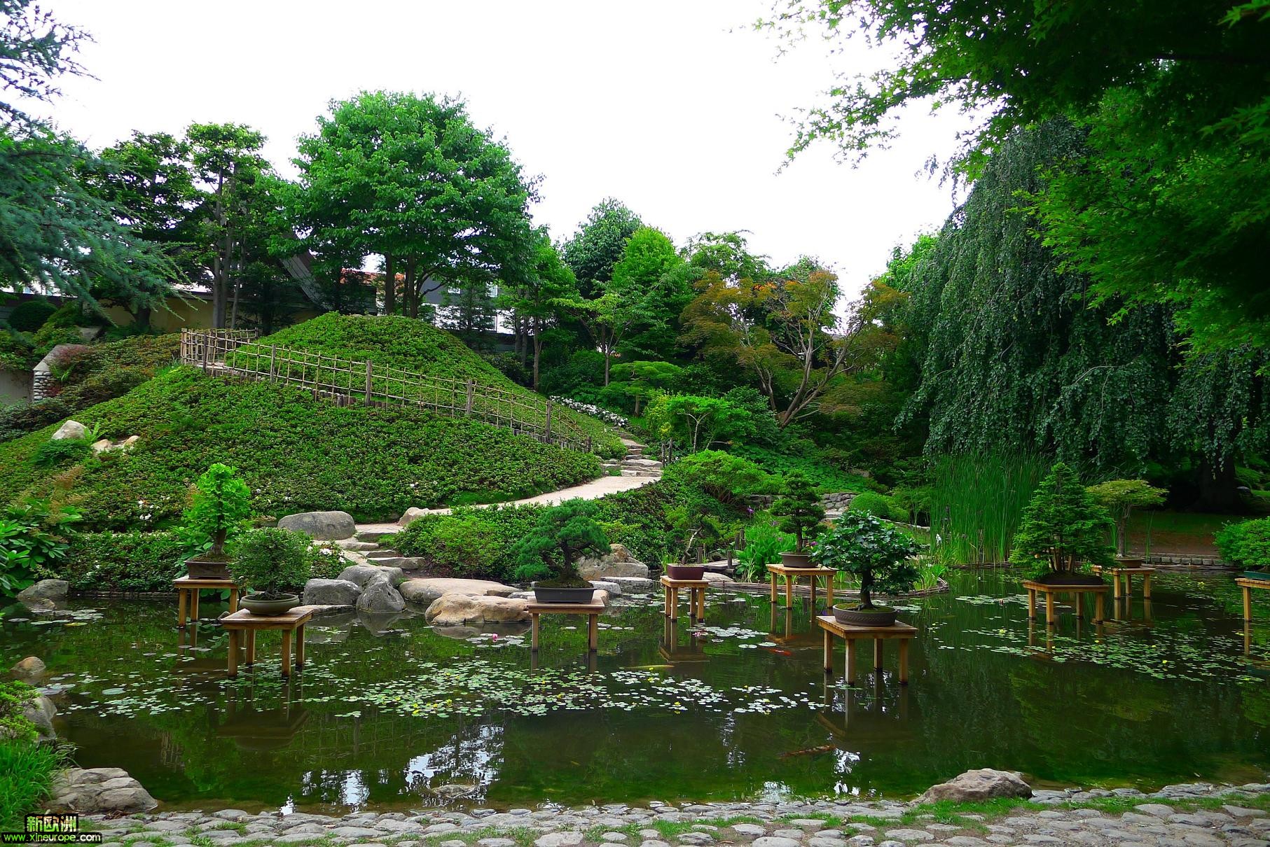 P1000310.jpg