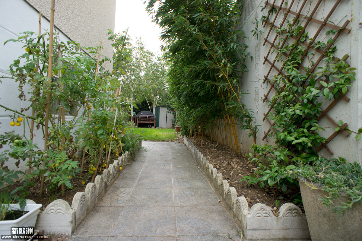 DSC07127.jpg