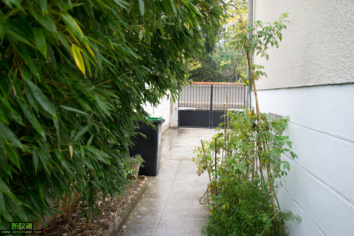 DSC07143.jpg