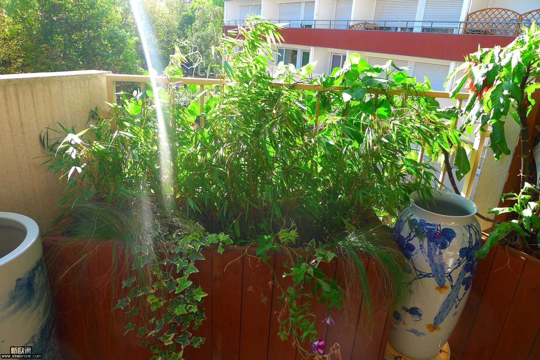 P1010591.JPG