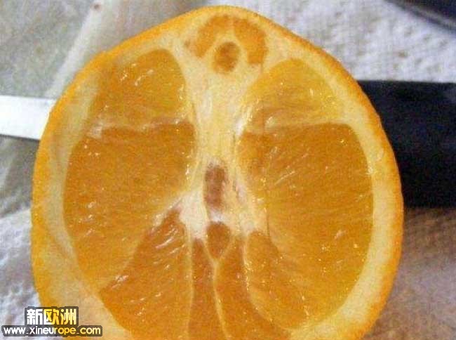 jesus-and-mary-in-an-orange.jpg