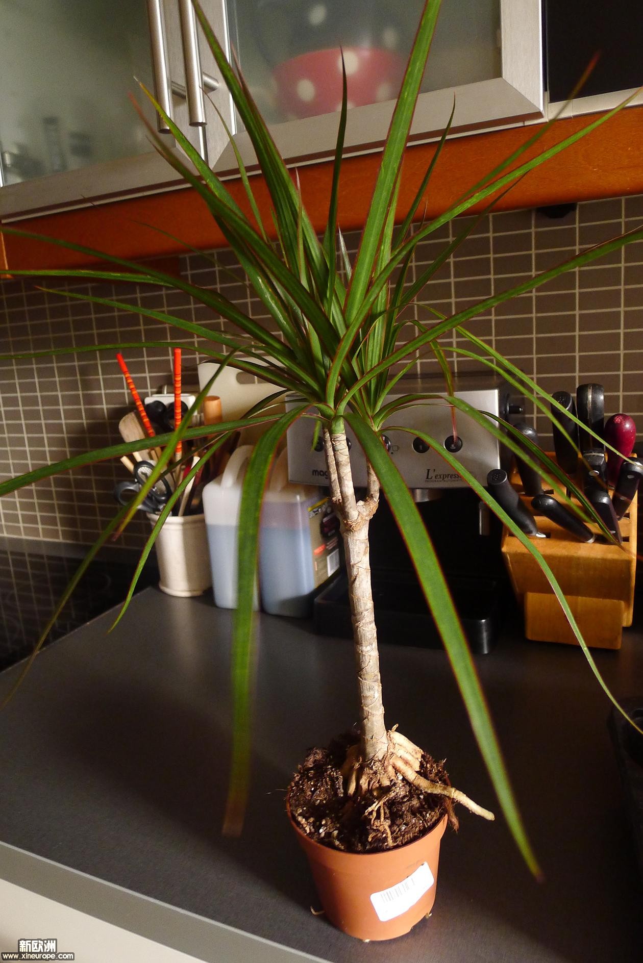 P1010611.JPG