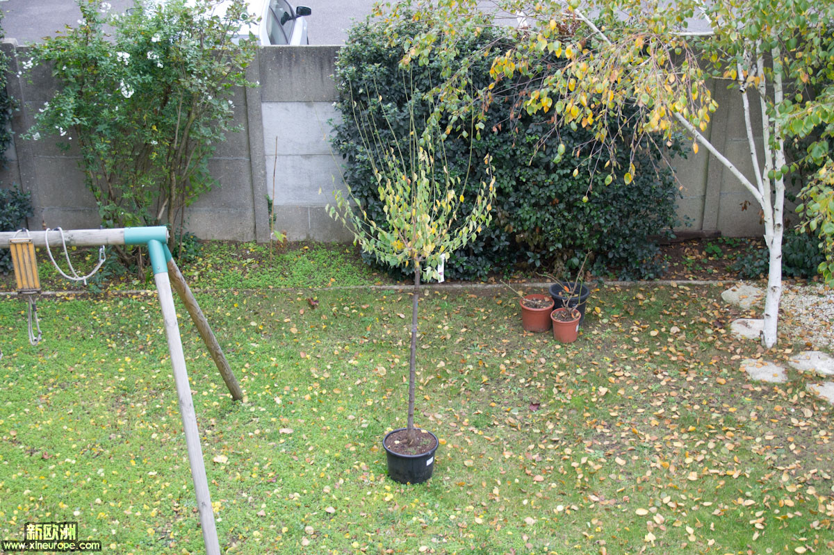 DSC07158.jpg
