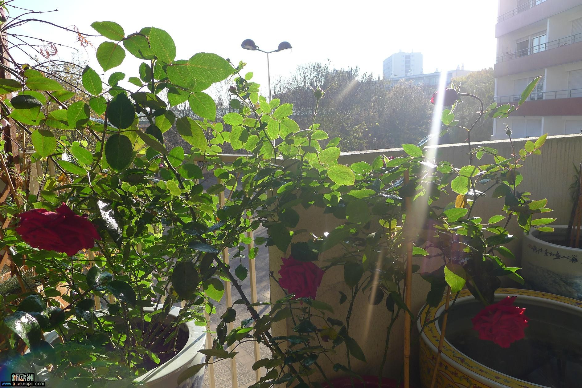 P1010637.JPG