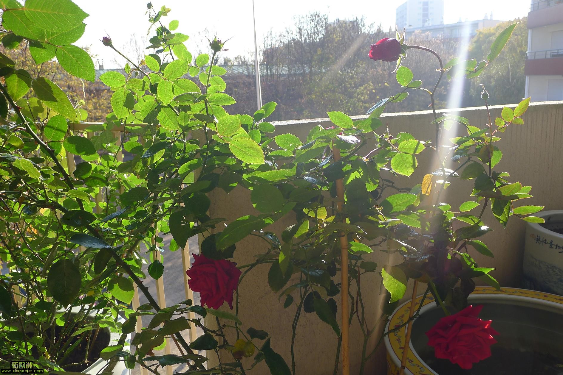 P1010638.JPG
