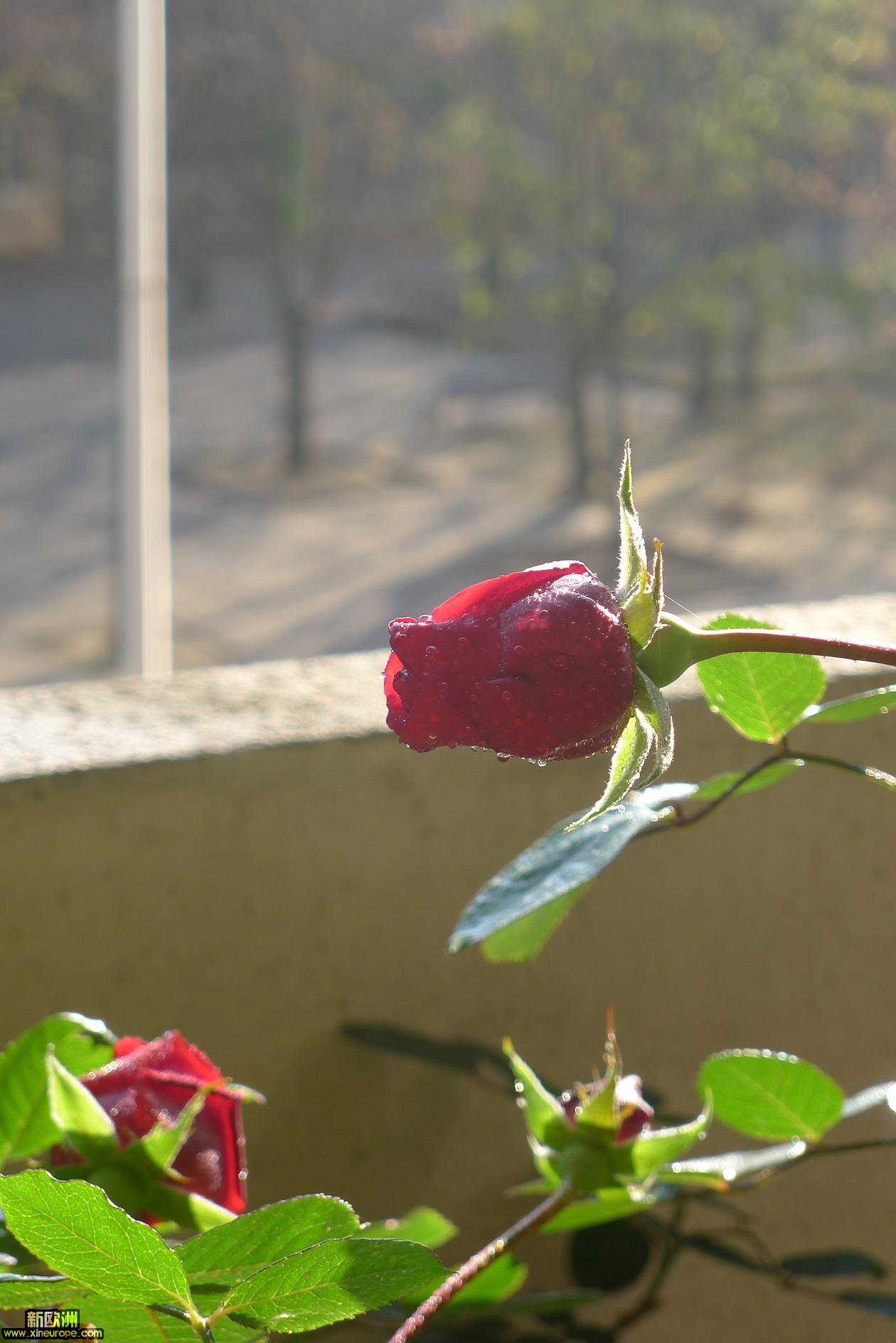 P1010640.JPG