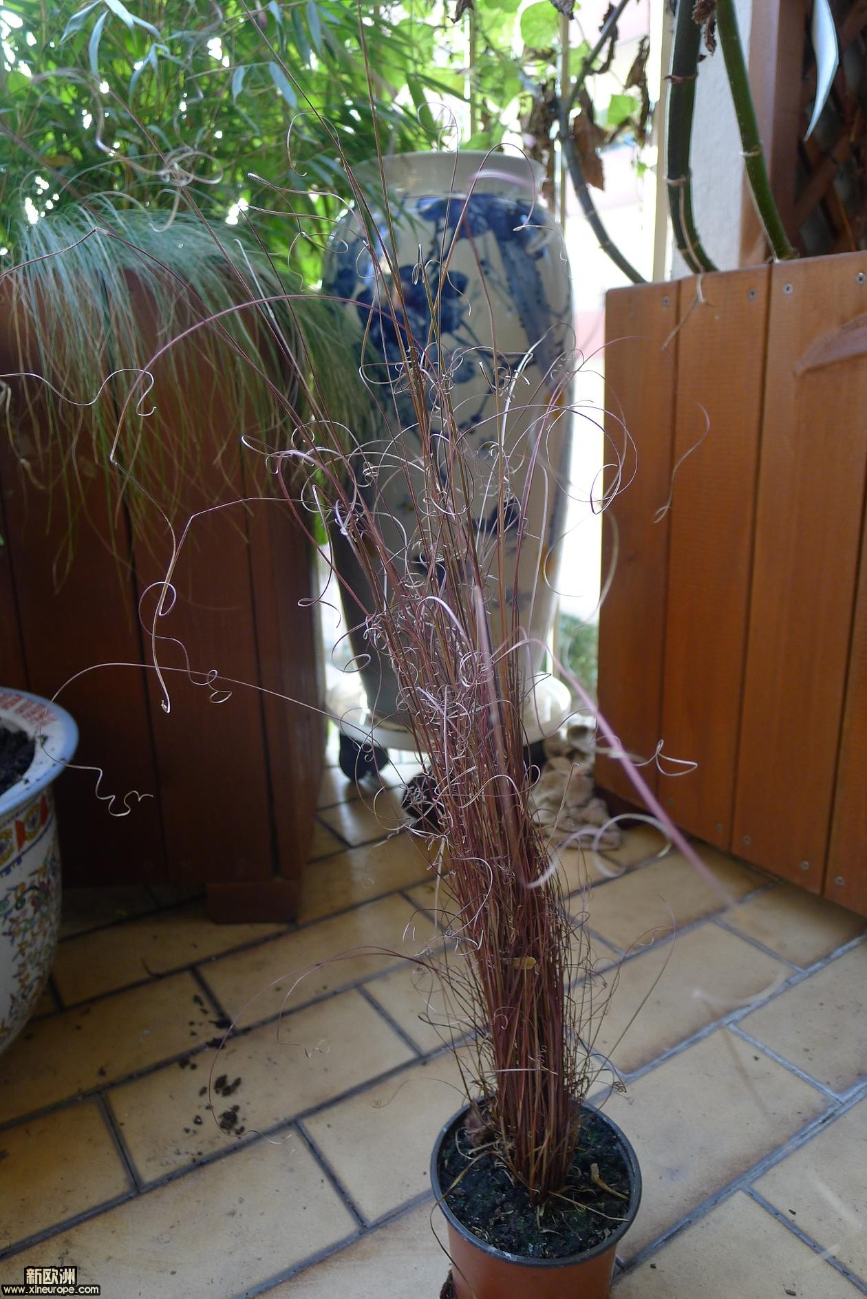 P1010645.JPG