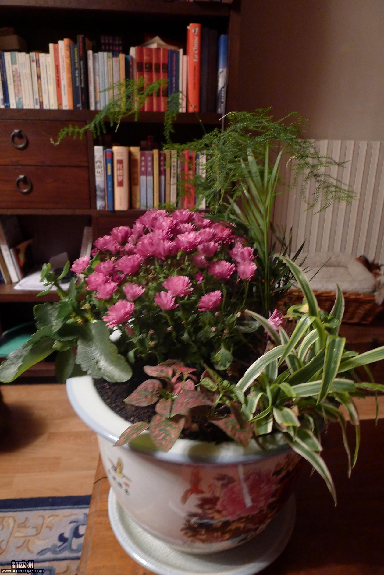 P1010648.JPG