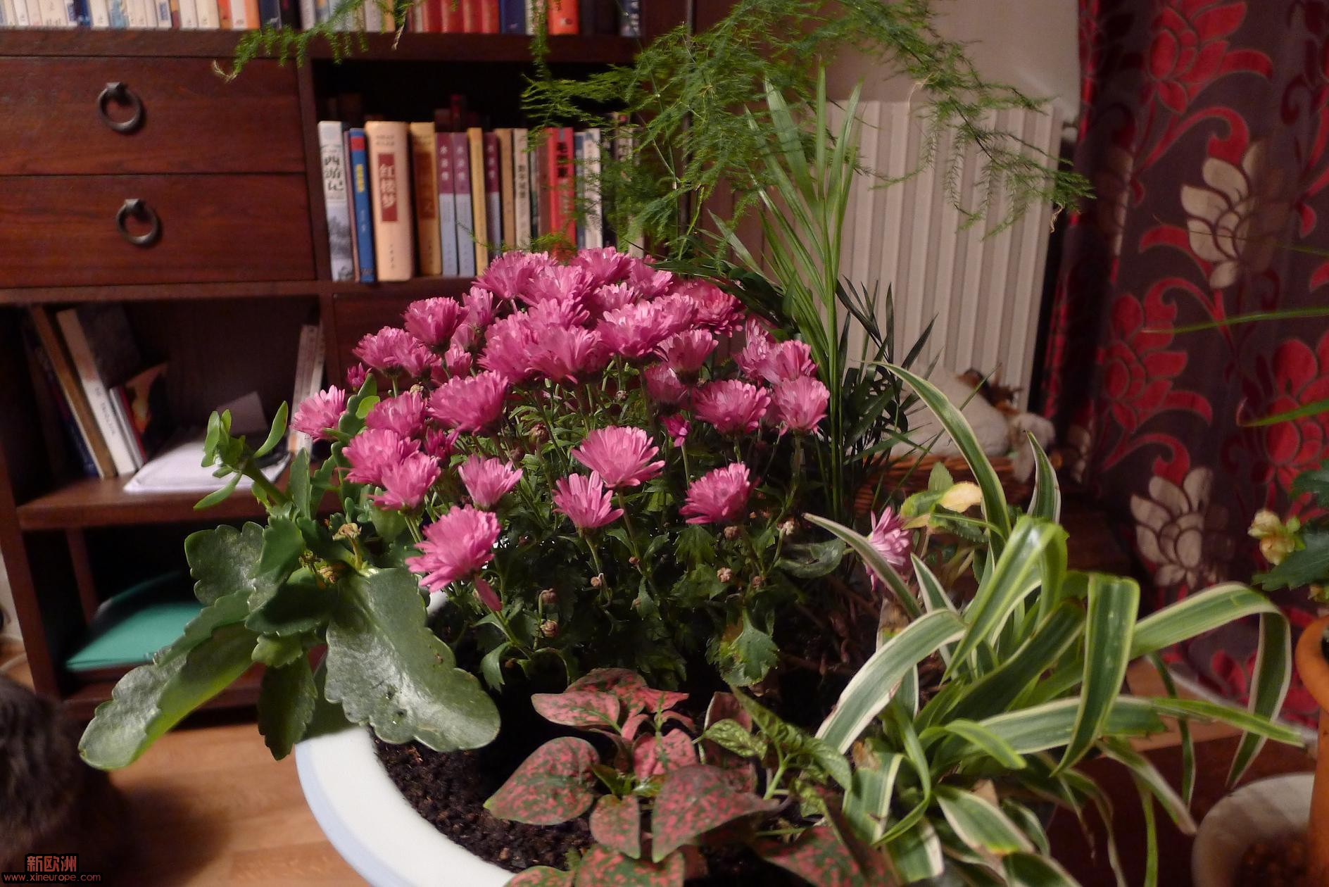 P1010650.JPG
