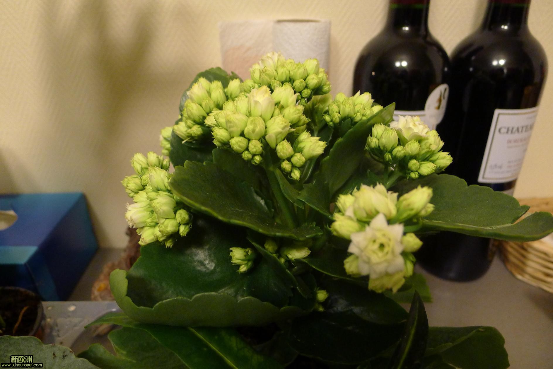 P1010656.JPG