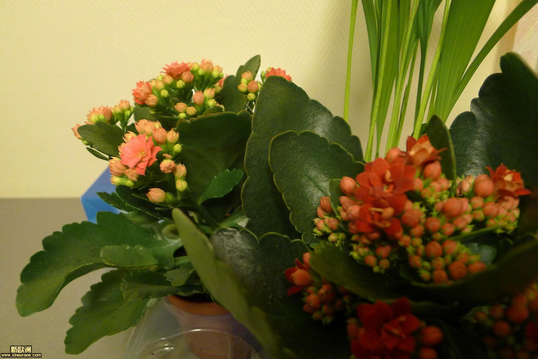 P1010657.JPG