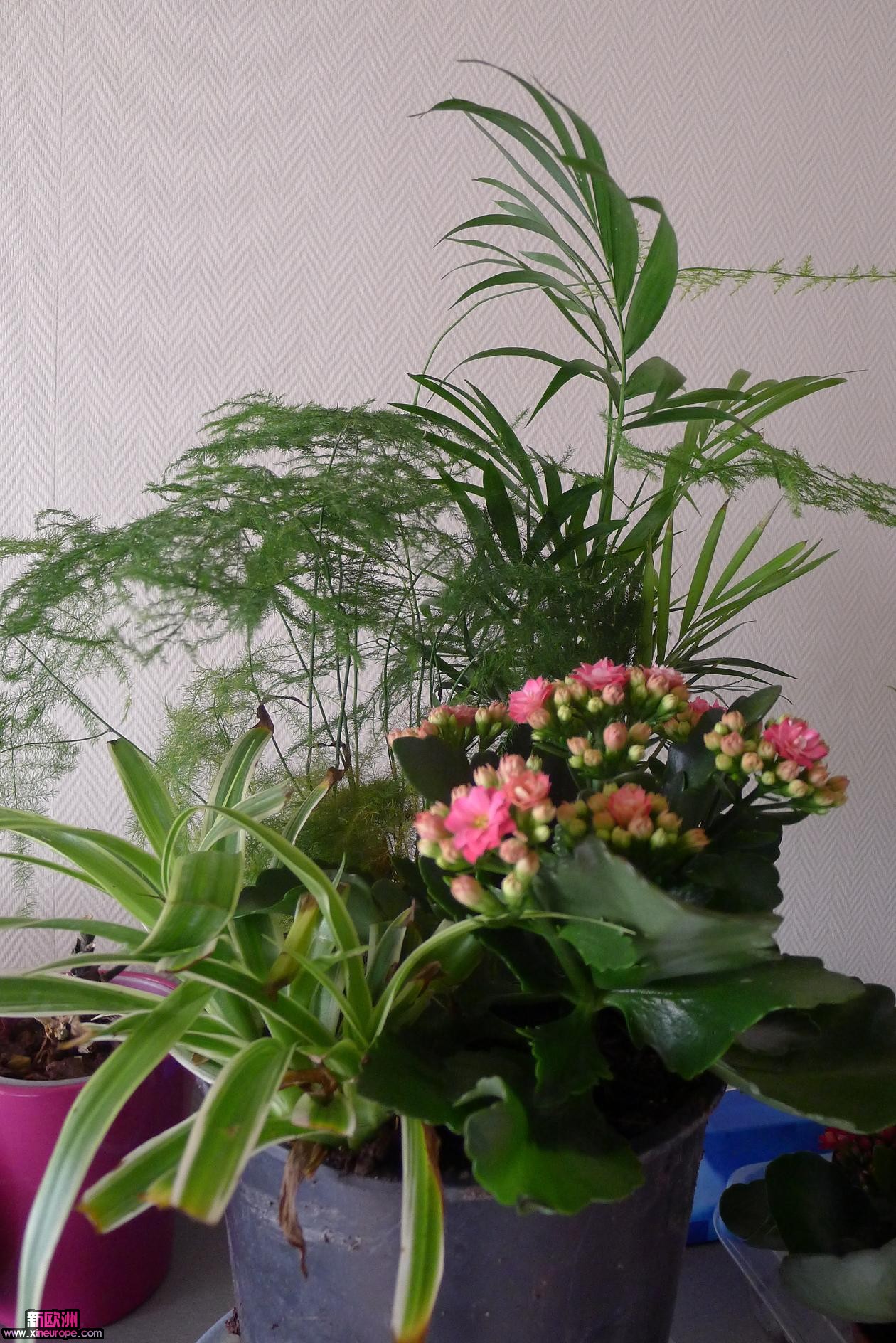 P1010667.JPG