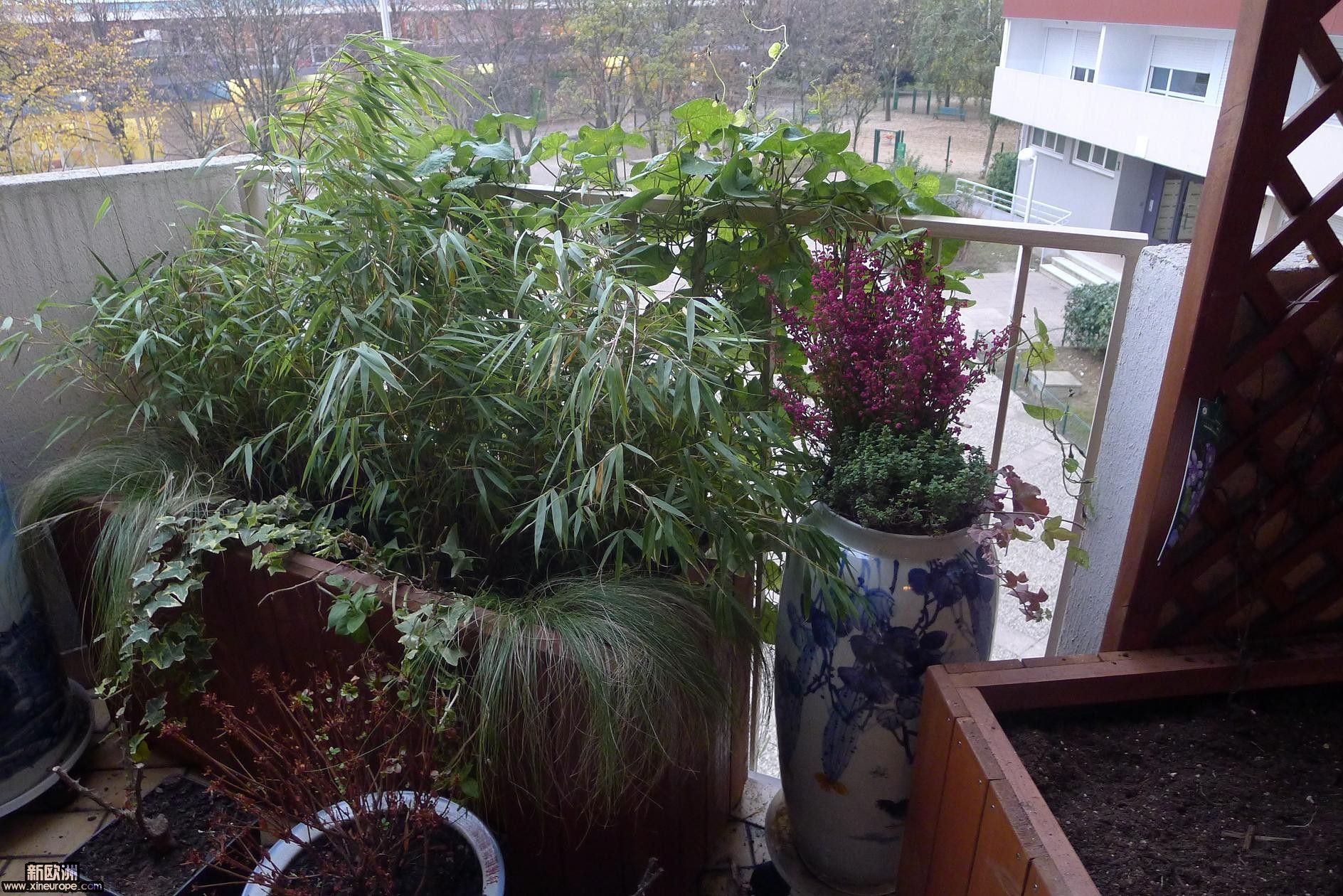 P1010679.JPG