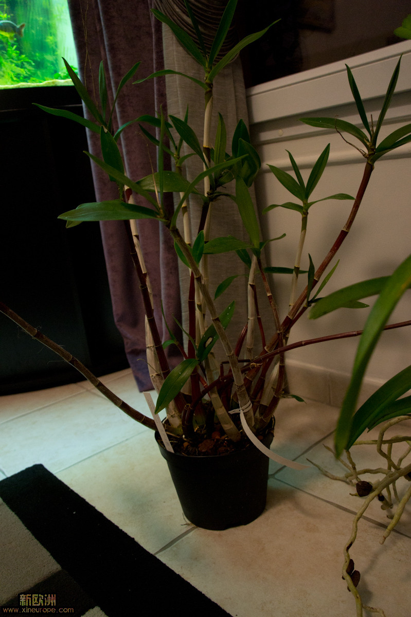 DSC07227.jpg