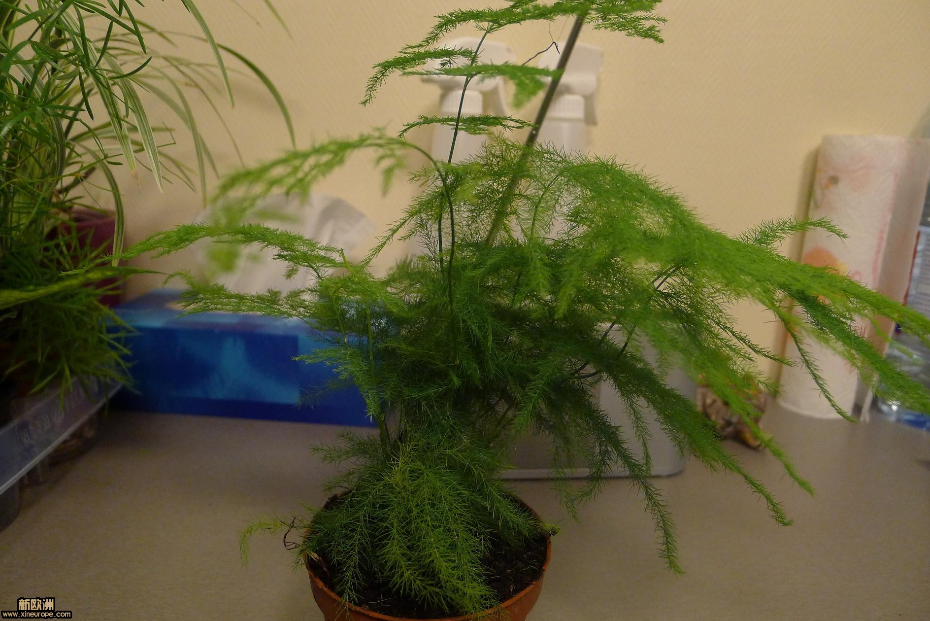 P1010716.JPG