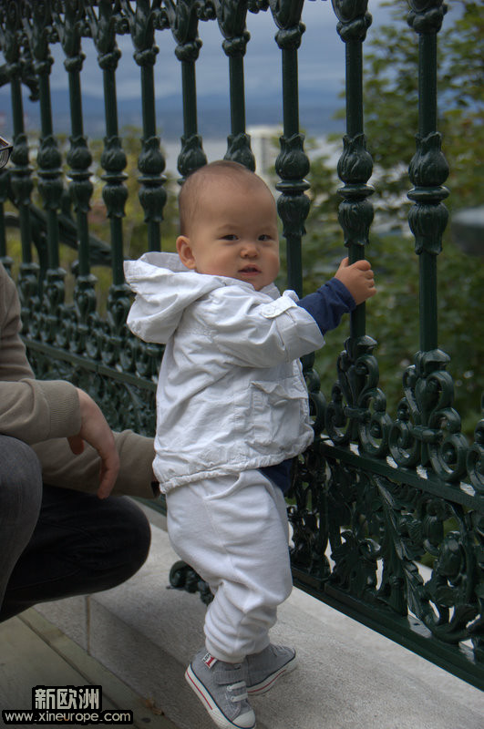 DSC_6938.jpg