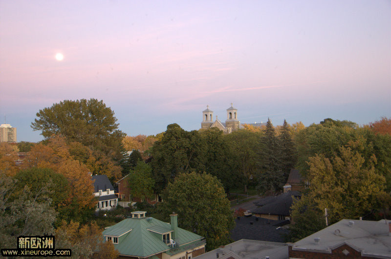 DSC_7352.jpg
