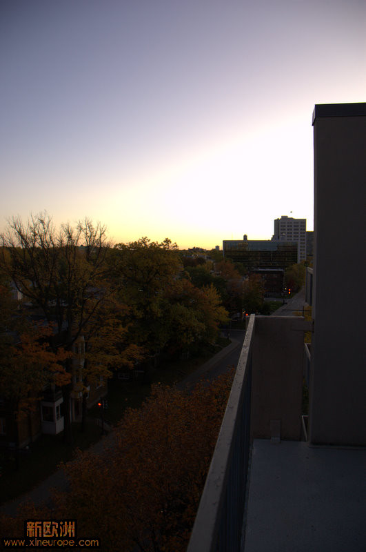 DSC_7355.jpg