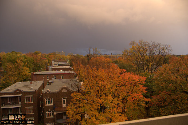 DSC_7361.jpg
