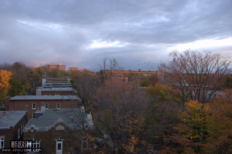 DSC_7370.jpg
