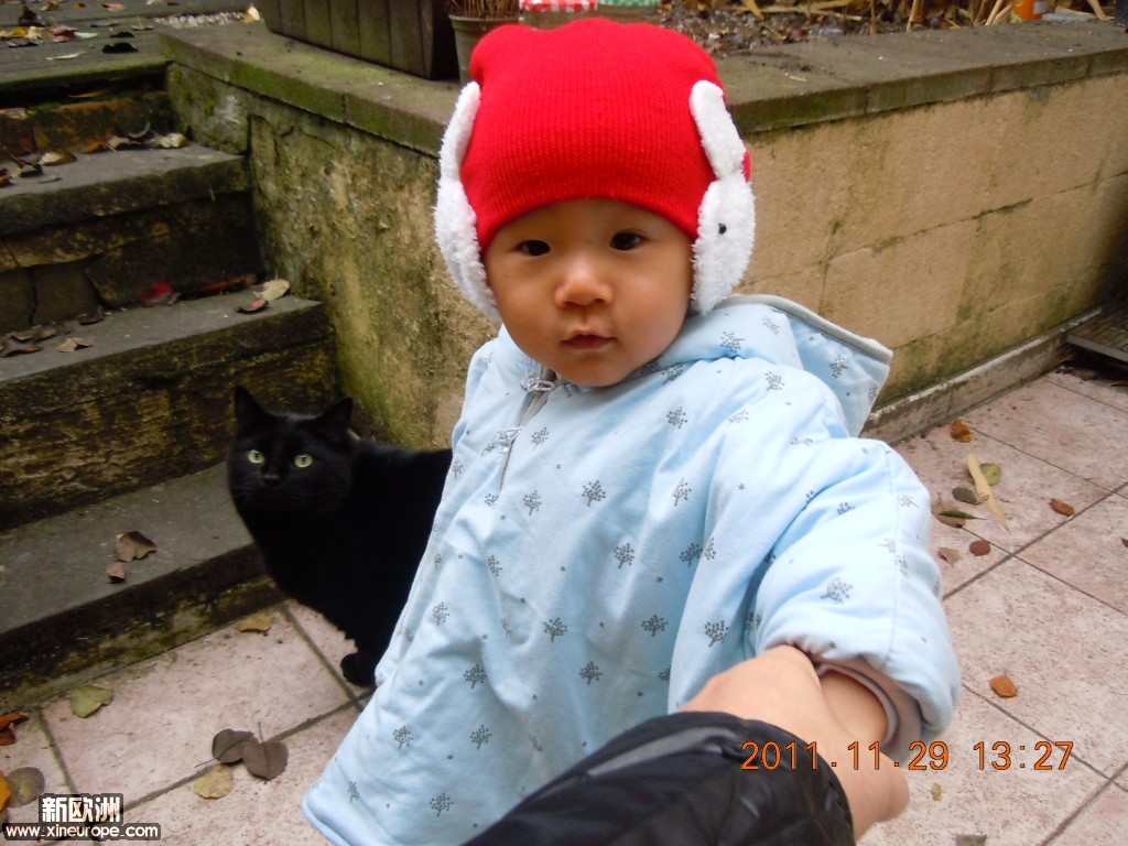 DSCN6530.jpg