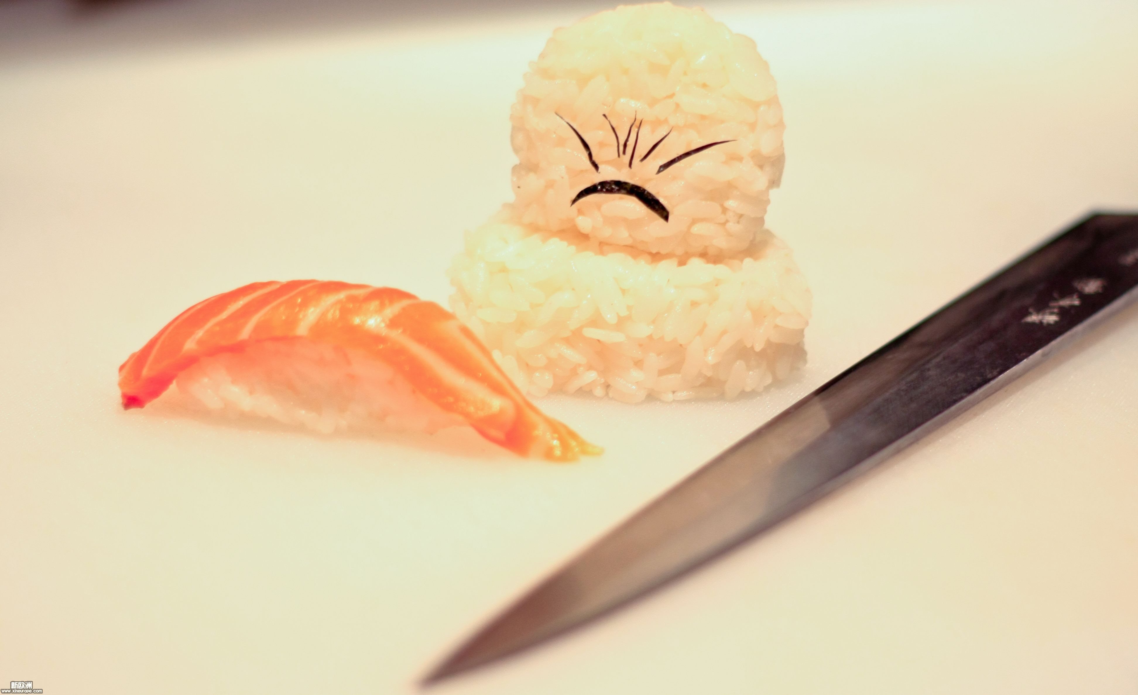 照片 007.jpg