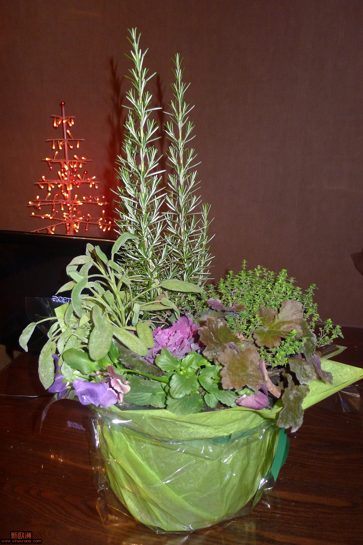 P1010759.JPG