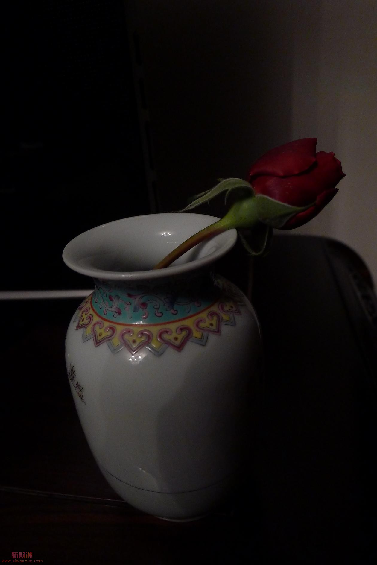 P1010812.JPG
