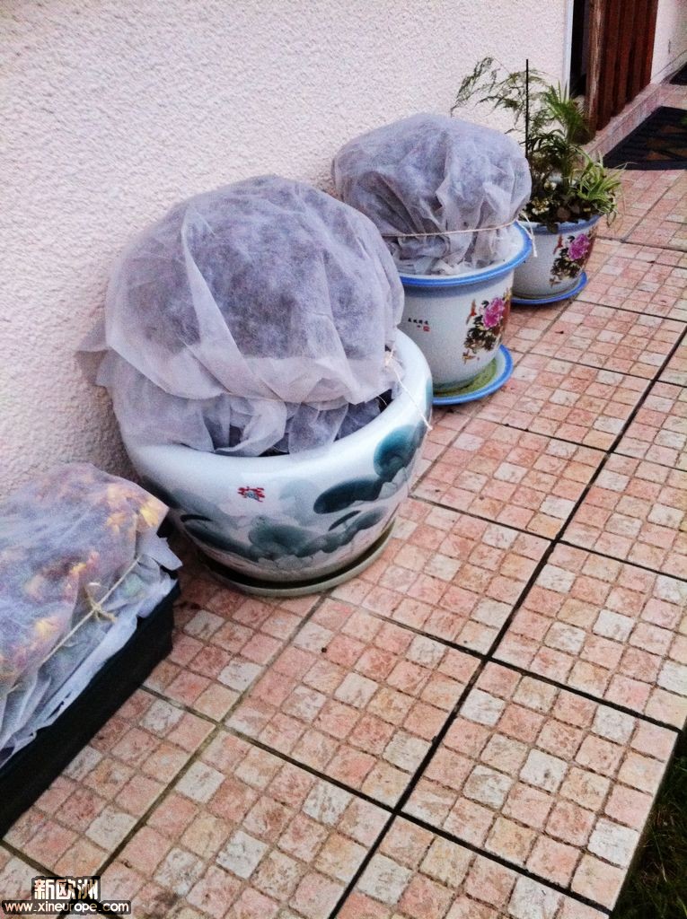divers 126.JPG