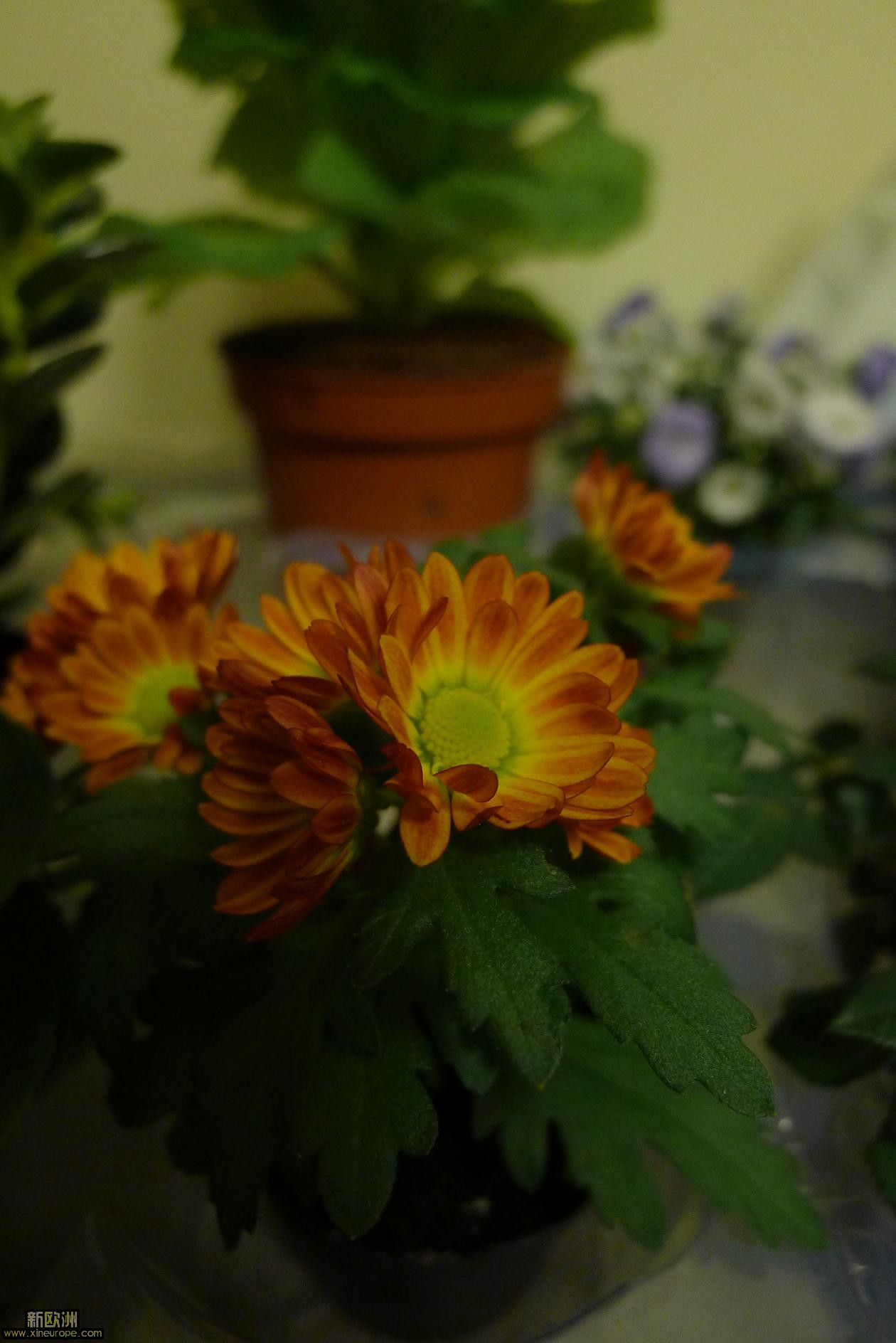 P1010837.JPG