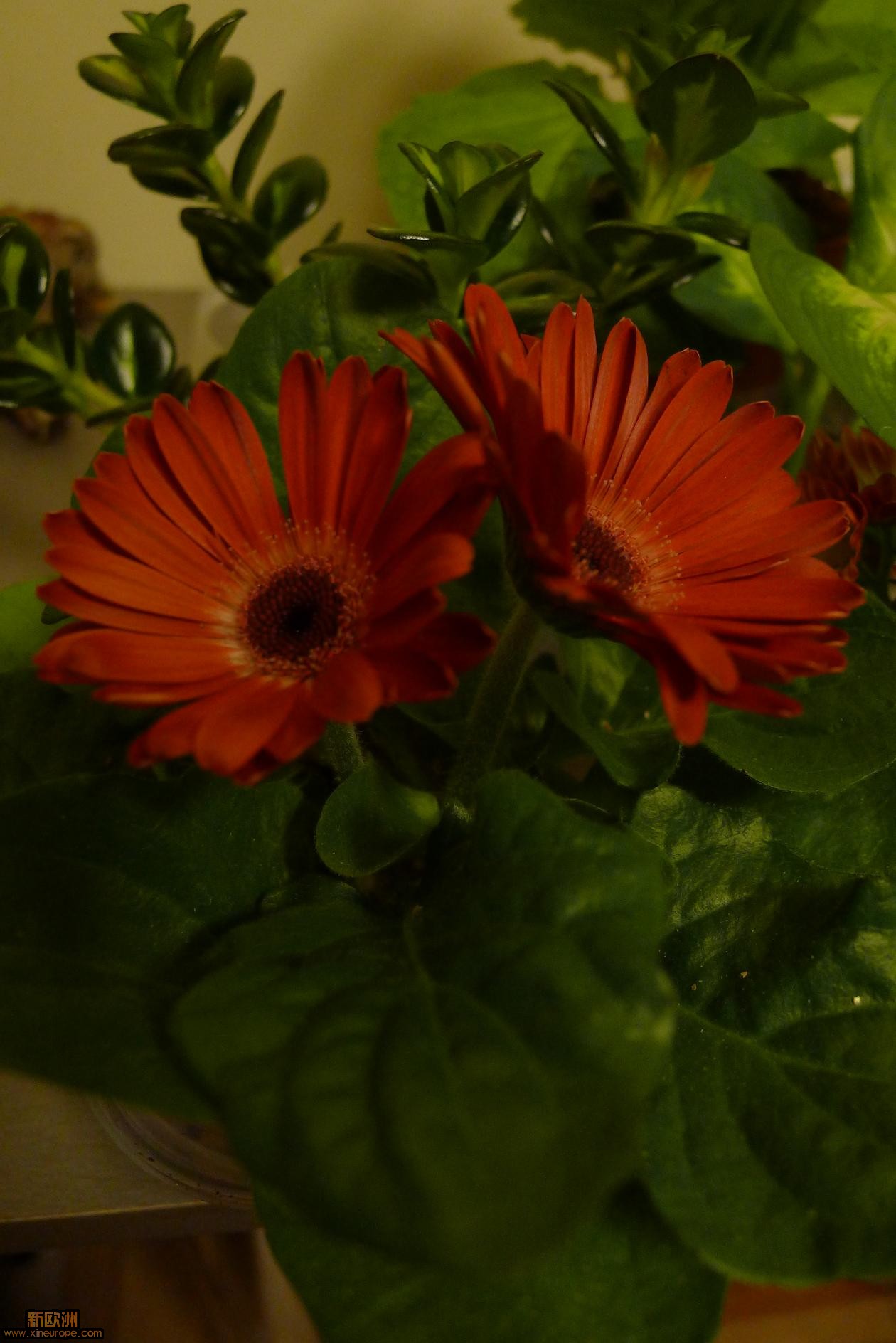 P1010841.JPG