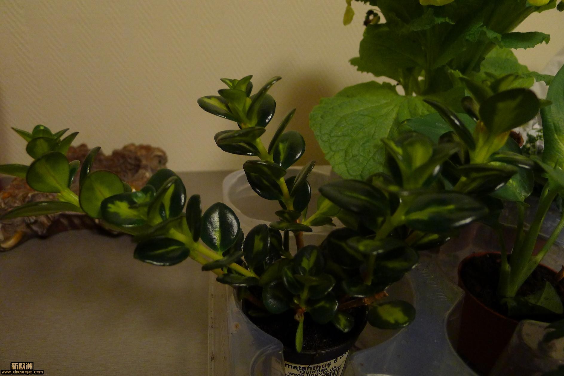 P1010843.JPG