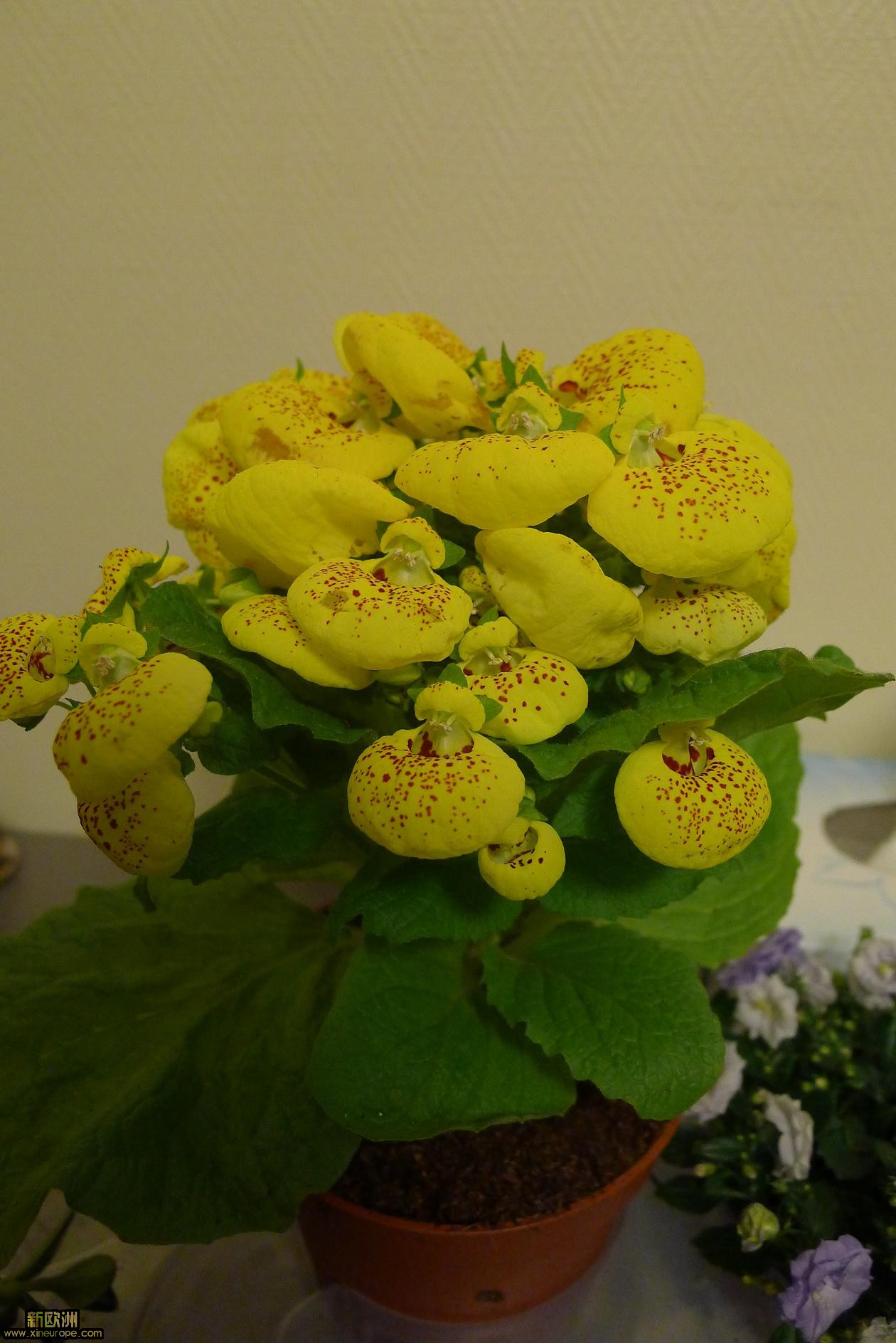 P1010838.JPG