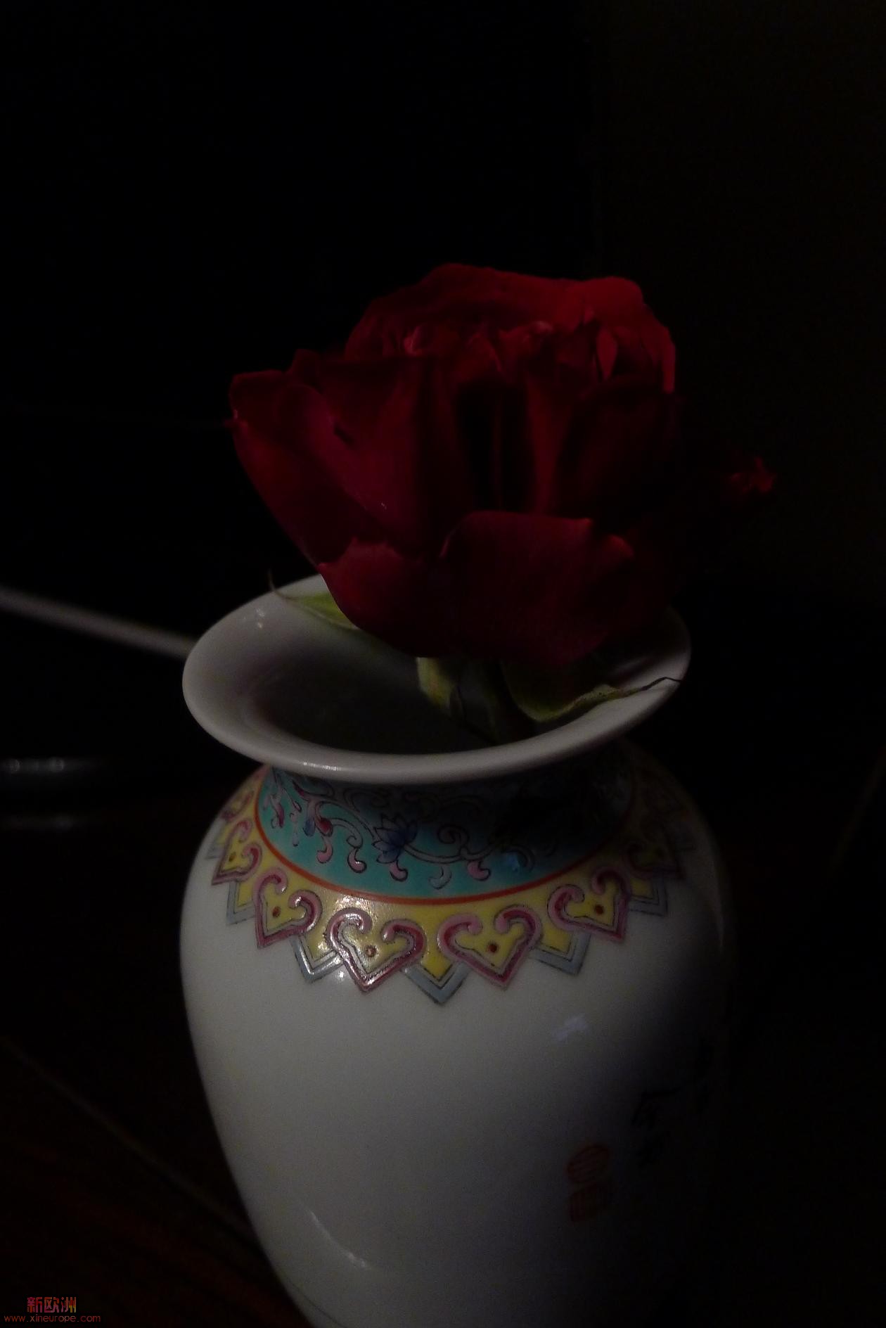 P1010851.JPG