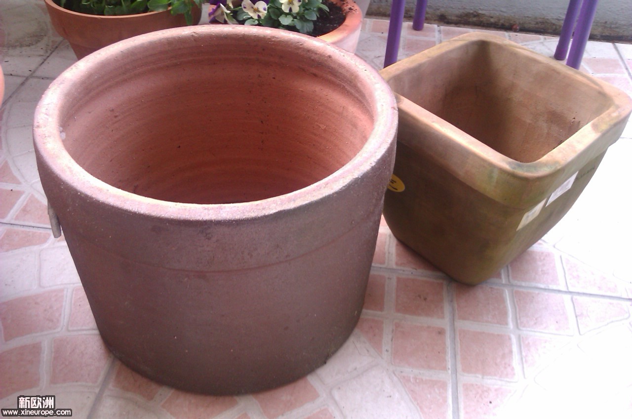 IMAG0256.jpg