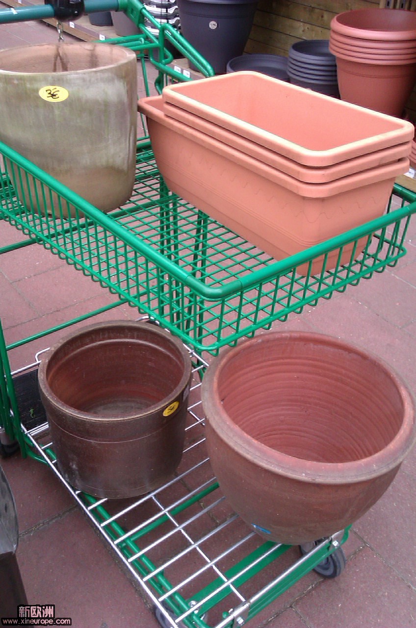 IMAG0260.jpg