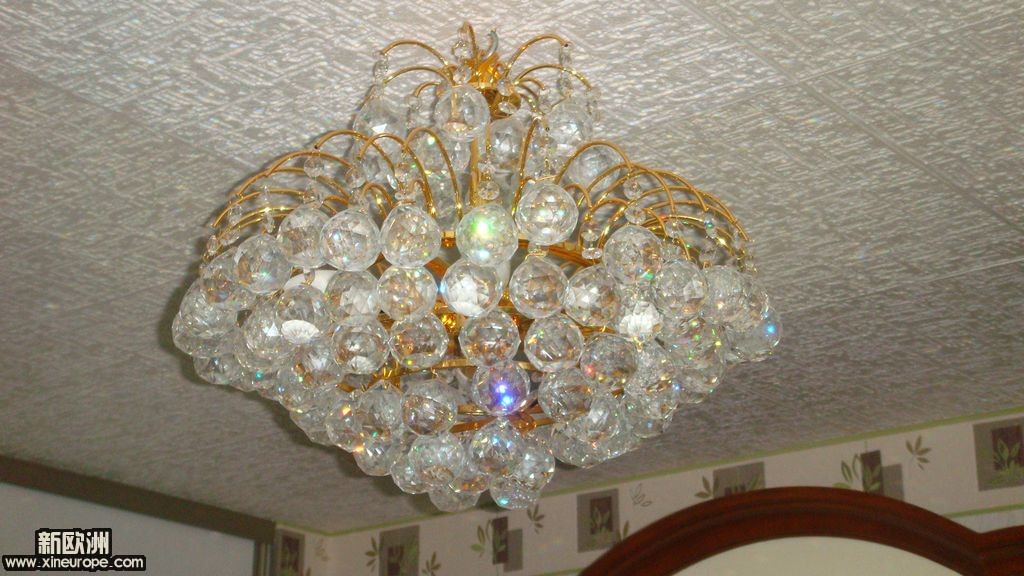 photo 003.JPG