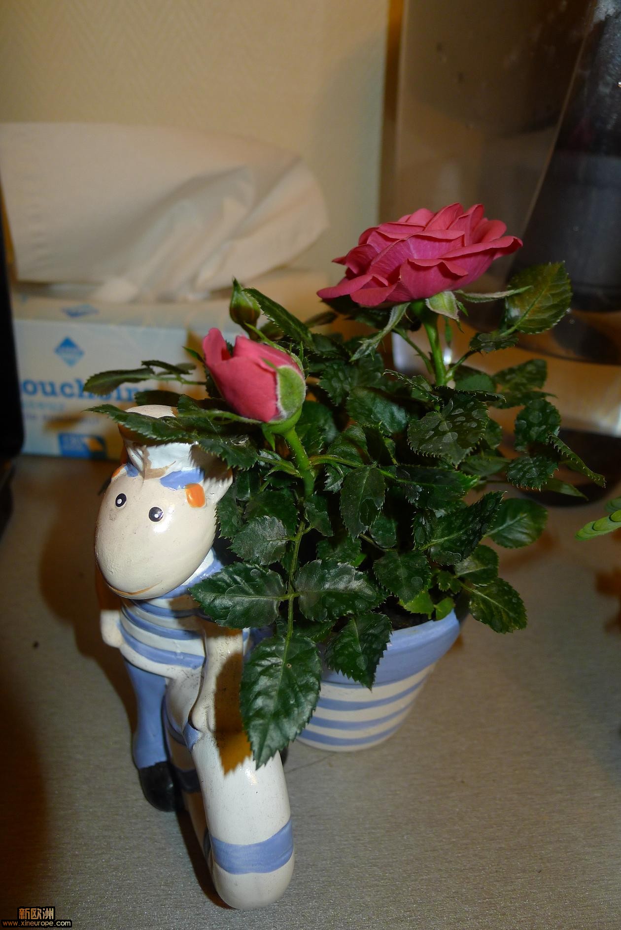 P1010868.JPG