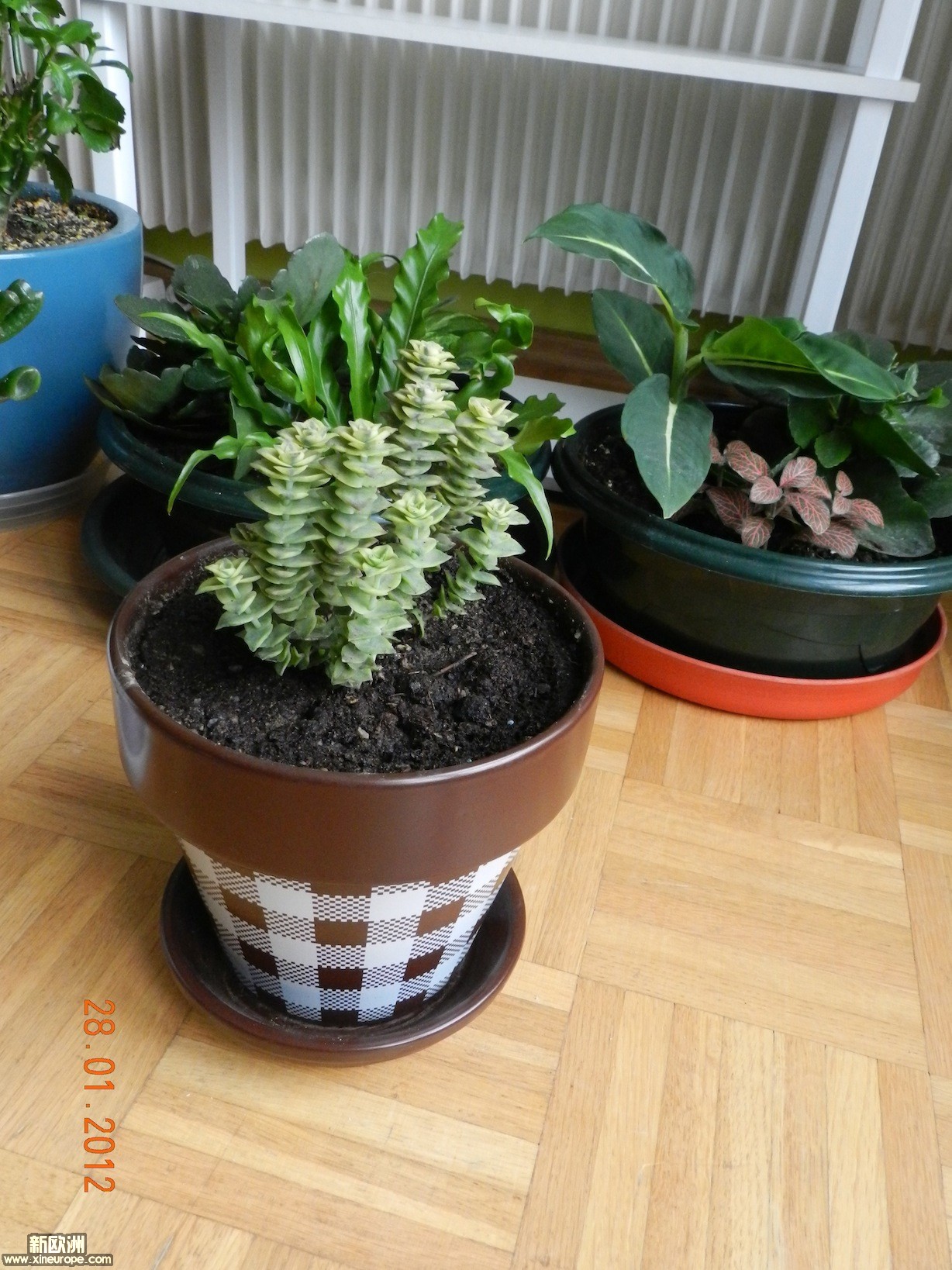 DSCN0190.JPG