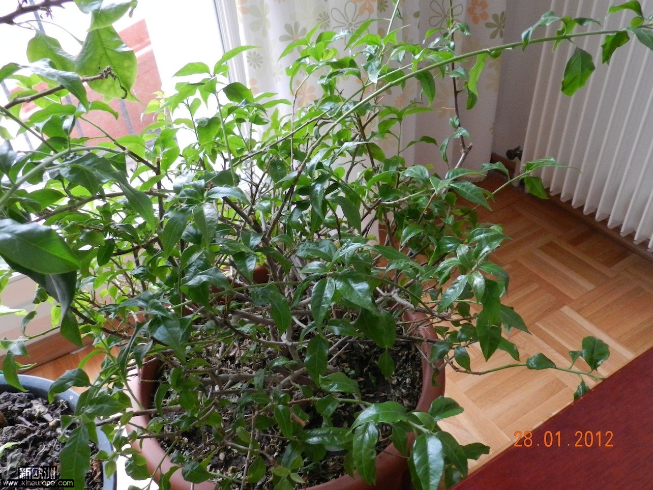 DSCN0191.JPG