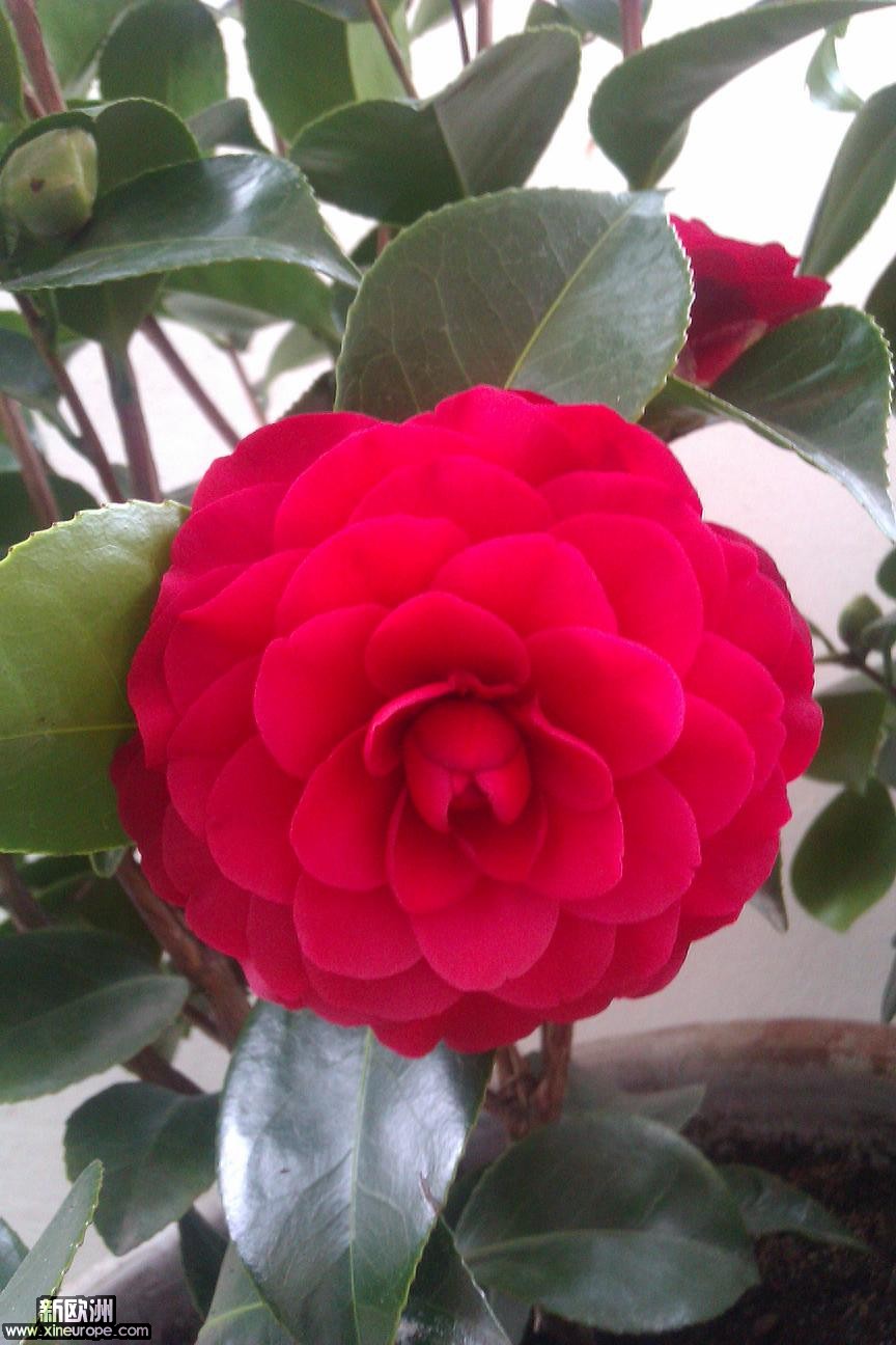 IMAG0002.jpg