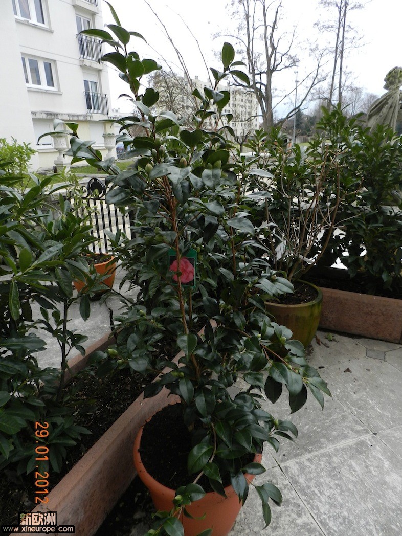 DSCN0197.JPG