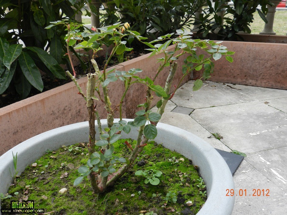 DSCN0198.JPG
