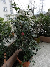 DSCN0197.JPG