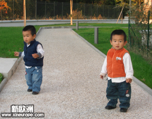 PIC_6131000000000.gif