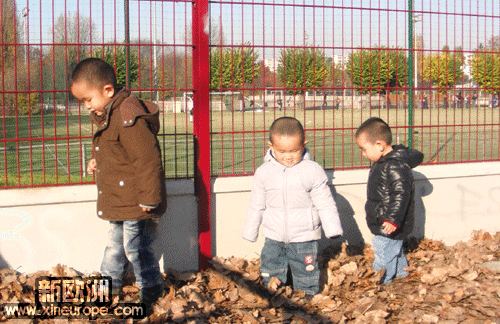 PIC_631600000000.gif