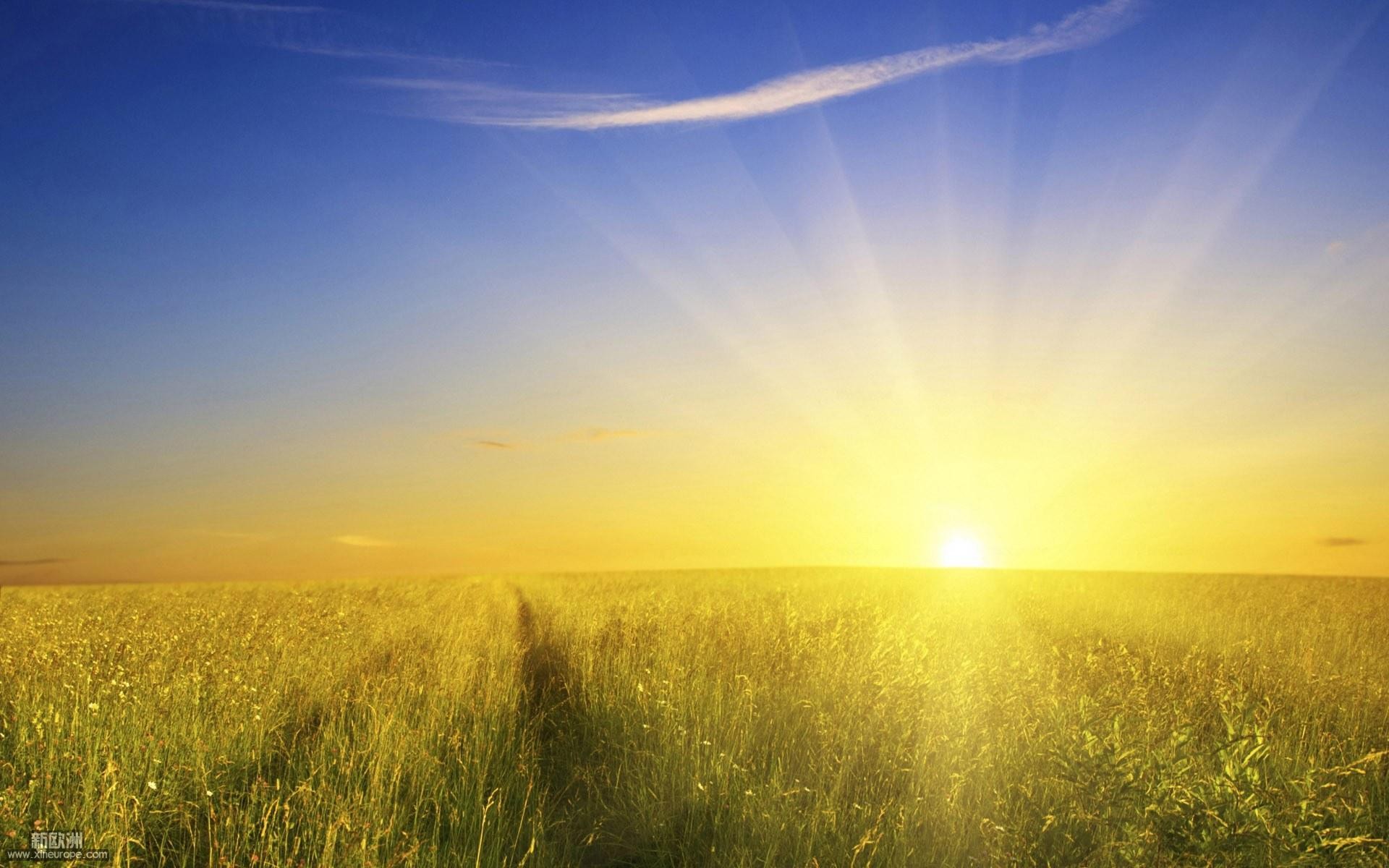 sunshine-wallpaper_1920x1200.jpg