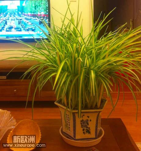 屏幕快照 2012-03-21 下午3.04.15.png